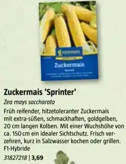 Bauhaus Zuckermais Sprinter Angebot