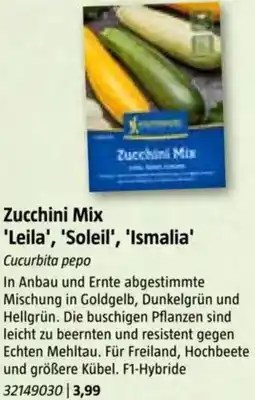 Bauhaus Zucchini Mix Leila, Soleil, Ismalia Angebot