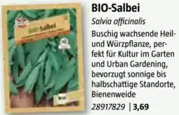 Bauhaus BIO-Salbei Angebot