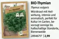 Bauhaus BIO-Thymian Angebot