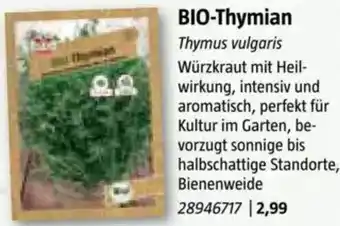 Bauhaus BIO-Thymian Angebot