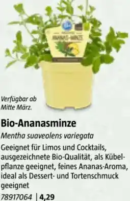 Bauhaus Bio-Ananasminze Angebot