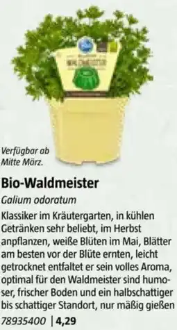 Bauhaus Bio-Waldmeister Angebot