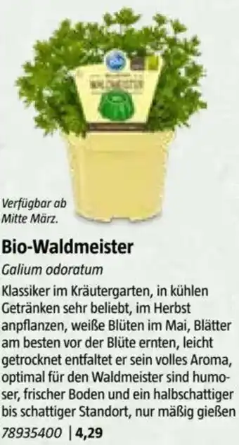 Bauhaus Bio-Waldmeister Angebot