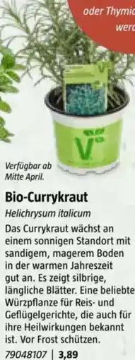 Bauhaus Bio-Currykraut Angebot
