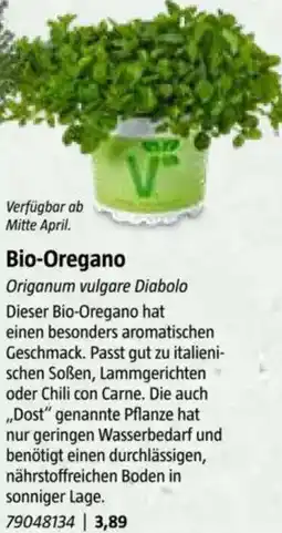 Bauhaus Bio-Oregano Angebot