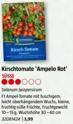 Bauhaus Kirschtomate Ampelo Rot Angebot