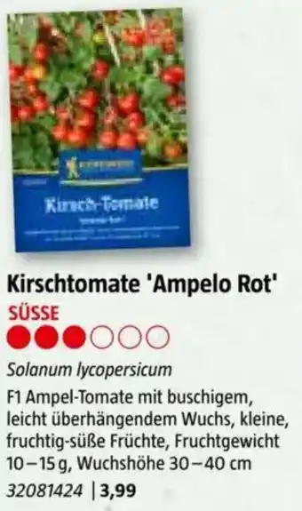 Bauhaus Kirschtomate Ampelo Rot Angebot