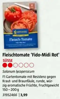 Bauhaus Fleischtomate 'Fido-Midi Rot Angebot