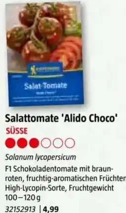 Bauhaus Salattomate 'Alido Choco Angebot