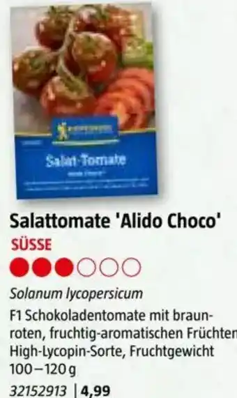 Bauhaus Salattomate 'Alido Choco Angebot