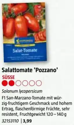 Bauhaus Salattomate 'Pozzano Angebot