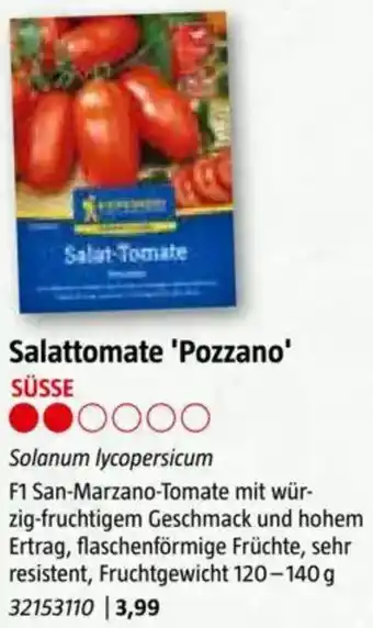 Bauhaus Salattomate 'Pozzano Angebot