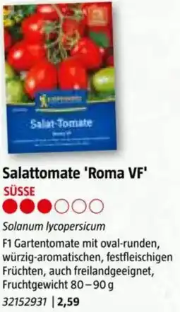 Bauhaus Salattomate 'Roma V Angebot