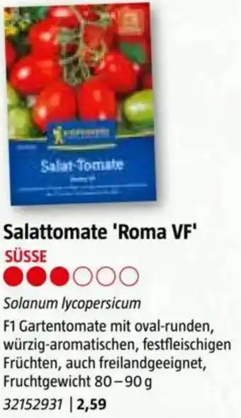 Bauhaus Salattomate 'Roma V Angebot