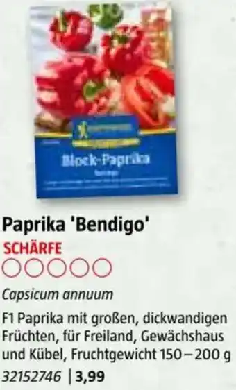 Bauhaus Paprika 'Bendigo Angebot
