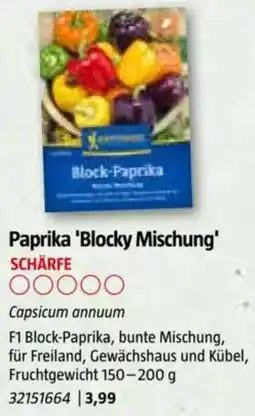 Bauhaus Paprika 'Blocky Mischung Angebot