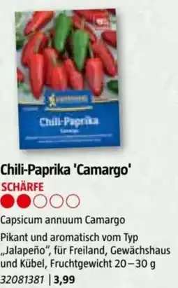 Bauhaus Chili-Paprika 'Camargo Angebot