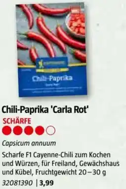 Bauhaus Chili-Paprika 'Carla Chili-Paprika 'Carla Rot' SCHÄRFE Angebot