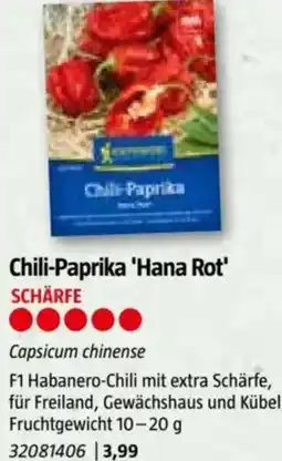 Bauhaus Chili-Paprika 'Hana Rot Angebot