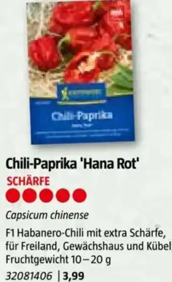 Bauhaus Chili-Paprika 'Hana Rot Angebot