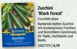 Bauhaus Zucchini 'Black Forest Angebot