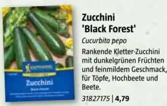 Bauhaus Zucchini 'Black Forest Angebot