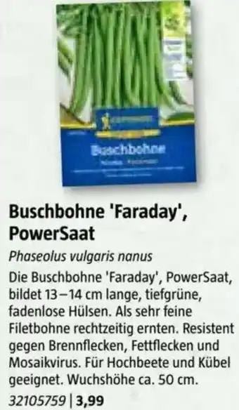 Bauhaus Buschbohne 'Faraday', PowerSaat Angebot