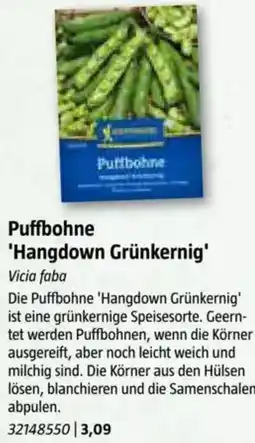 Bauhaus Puttbohne 'Hangdown Grünkernig Angebot