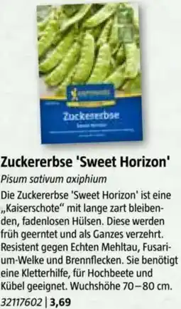Bauhaus Zuckererbse 'Sweet Horizon Angebot