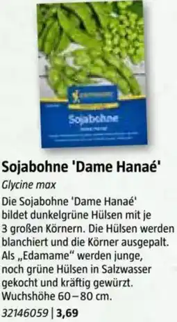 Bauhaus Sojabohne 'Dame Hanaé Angebot