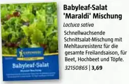Bauhaus Babyleaf-Salat Maraldi Mischung Angebot