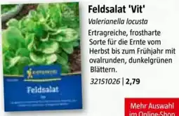Bauhaus Feldsalat Vit Angebot