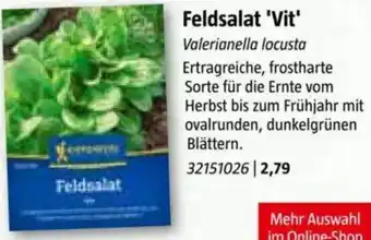 Bauhaus Feldsalat Vit Angebot