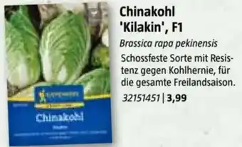 Bauhaus Chinakohl 'Kilakin', F1 Angebot