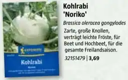 Bauhaus Kohlrabi 'Noriko Angebot