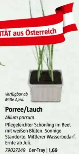 Bauhaus Porree/Lauch Angebot