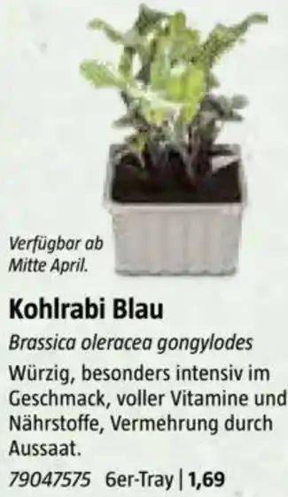 Bauhaus Kohlrabi Blau Angebot