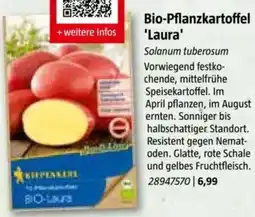 Bauhaus Bio-Pflanzkartoffel Laura Angebot