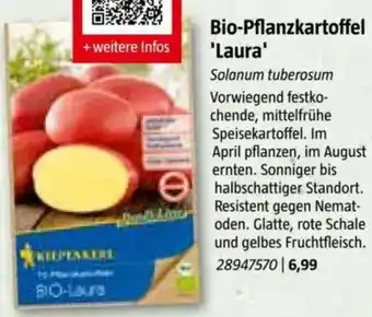 Bauhaus Bio-Pflanzkartoffel Laura Angebot