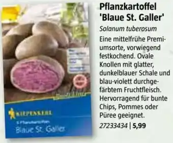 Bauhaus Pflanzkartoffel Blaue St. Galler Angebot