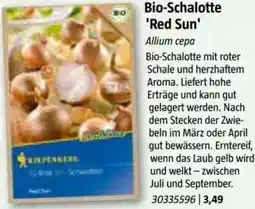 Bauhaus Bio-Schalotte 'Red Sun Angebot