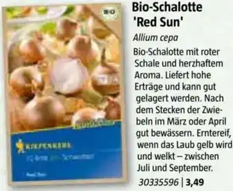 Bauhaus Bio-Schalotte 'Red Sun Angebot