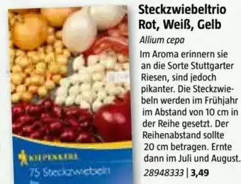 Bauhaus Steckzwiebeltrio Rot, Weiß, Gelb Angebot