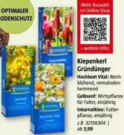 Bauhaus Kiepenkerl Gründünger Angebot