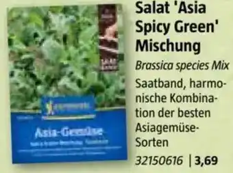 Bauhaus Salat 'Asia Spicy Green Mischung Angebot