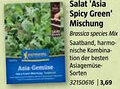Bauhaus Salat 'Asia Spicy Green Mischung Angebot