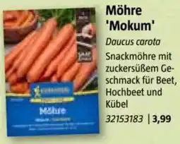 Bauhaus Möhre 'Mokum Angebot