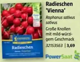 Bauhaus Radieschen 'Vienna Angebot