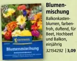 Bauhaus Blumen- mischung Angebot